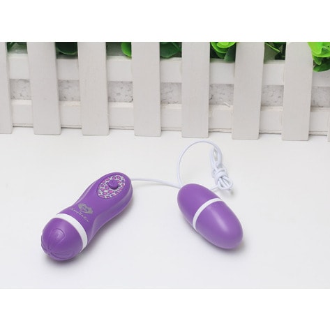 Flirt Vibrating Egg & Nipple Clip Sets