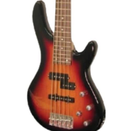 5 String Electric Bass Guitar