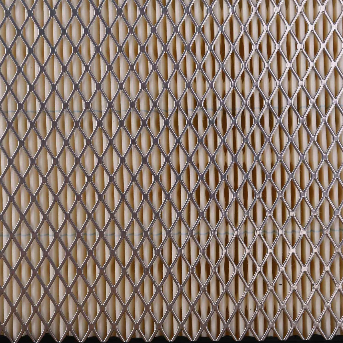 Air Filter for Chevrolet Blazer S10 Trailblazer 25098463