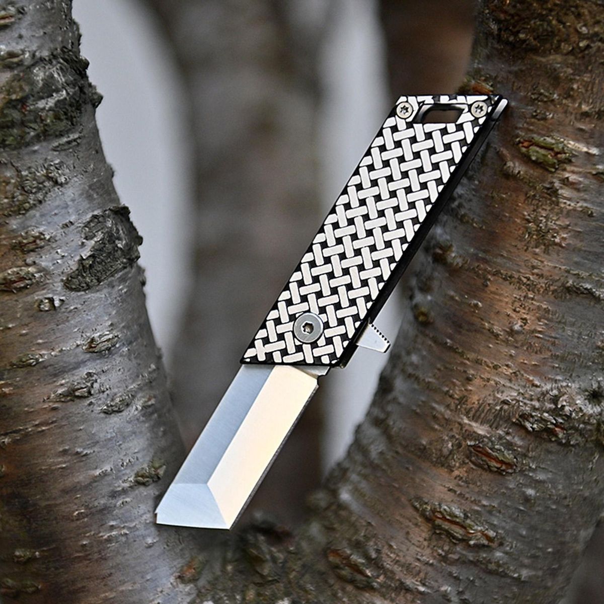 Fruit Cutter Comfortable Grip Mini-folding Cutter Black Silvery