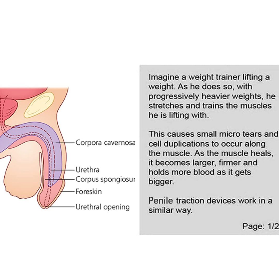 Penis Enlarger Enlargement Stretcher  Extender