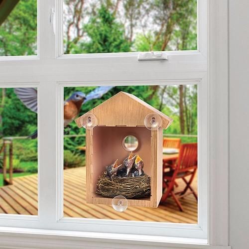 Bird House Swallow DIY Nest Home Decoration Outdoor Breeding Cockatiels Box Roof High Quality Birds Supplies