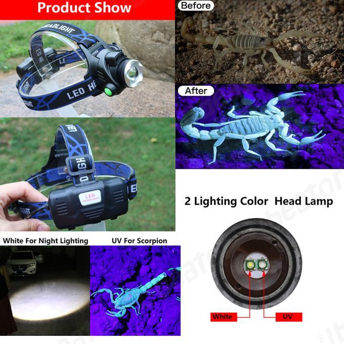 Mini Motion Sensor Led Headlight 5 Gears Control USB Charging White UV Black 2 Lights Headlamp