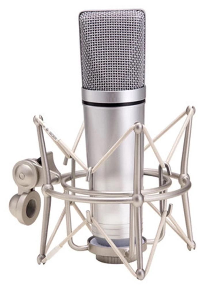 High-end Condenser Microphone Professional Studio Large Diaphragm Microphone For Vocal Recording PC Podcast Gaming Tiktok DJ