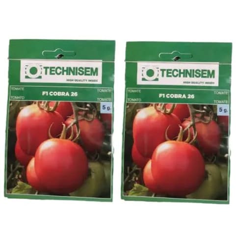 Hybrid Tomato Seeds - 5g - 2sachet