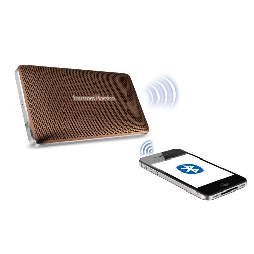 Esquire Mini Portable Wireless Speaker - Brown