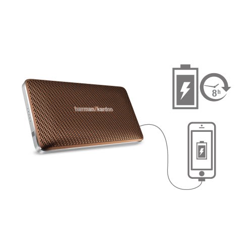 Esquire Mini Portable Wireless Speaker - Brown