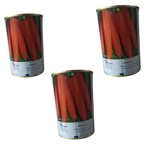 Nantes Carrot Seeds - 100 Grams - 3 Tins