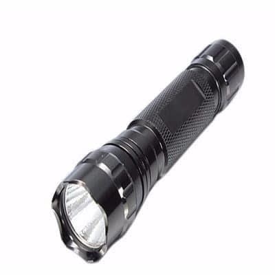 Police Torch