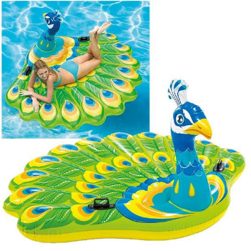Peacock Floater