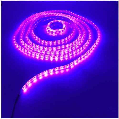 10 Meters Led Lights - Purple