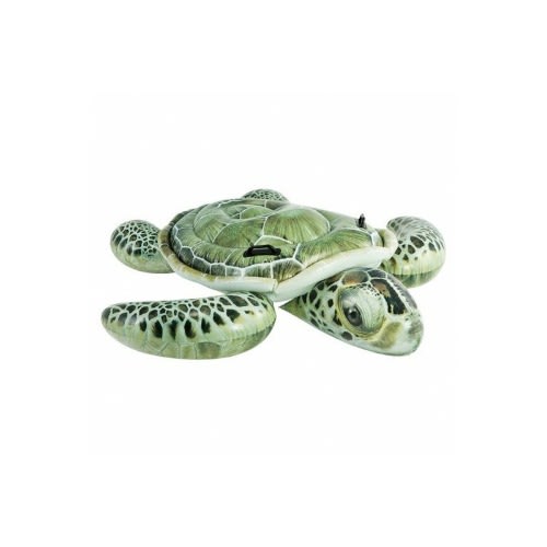 Turtle Ride On