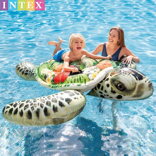 Turtle Ride On