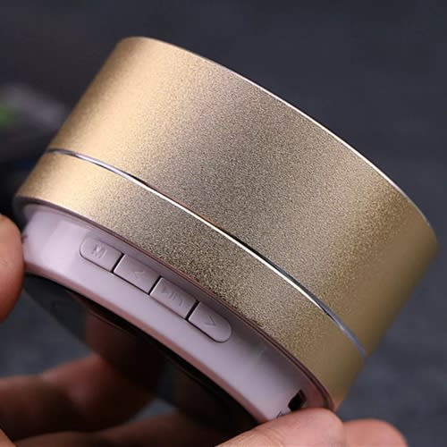 Portable Bluetooth Speaker