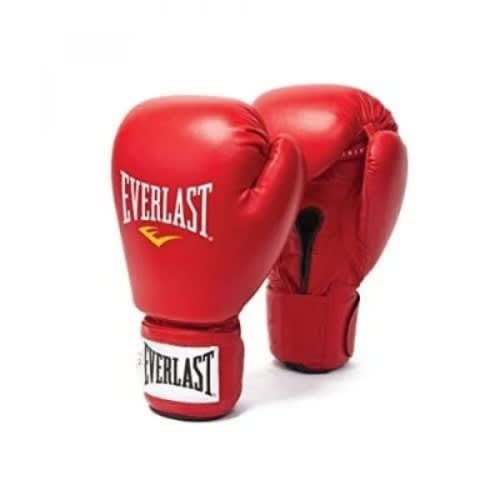 Everlast Boxing Gloves