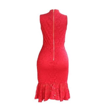 Bodycon Net Design Sleeveless Dress - Red
