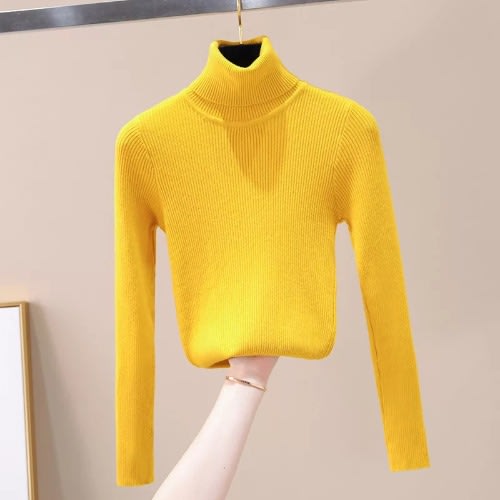 Ladies Turtleneck Top