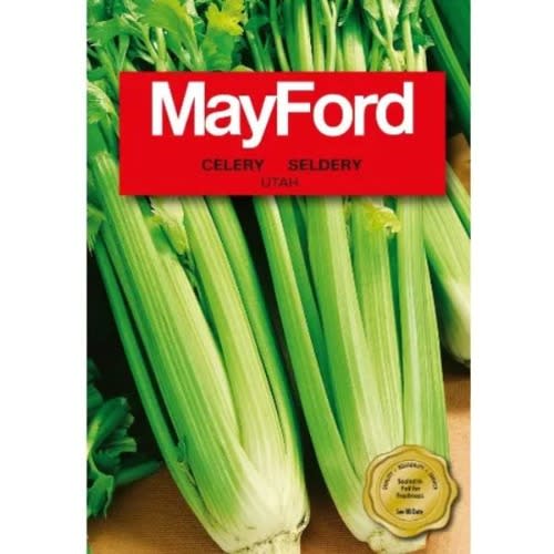 Celery Seeds - 2.5g