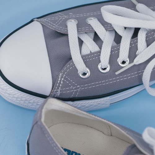 All Star - Ash Lowtop
