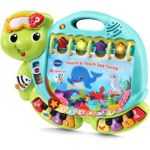 Touch And Teach Sea Turtle Interactive Learning Book - Green