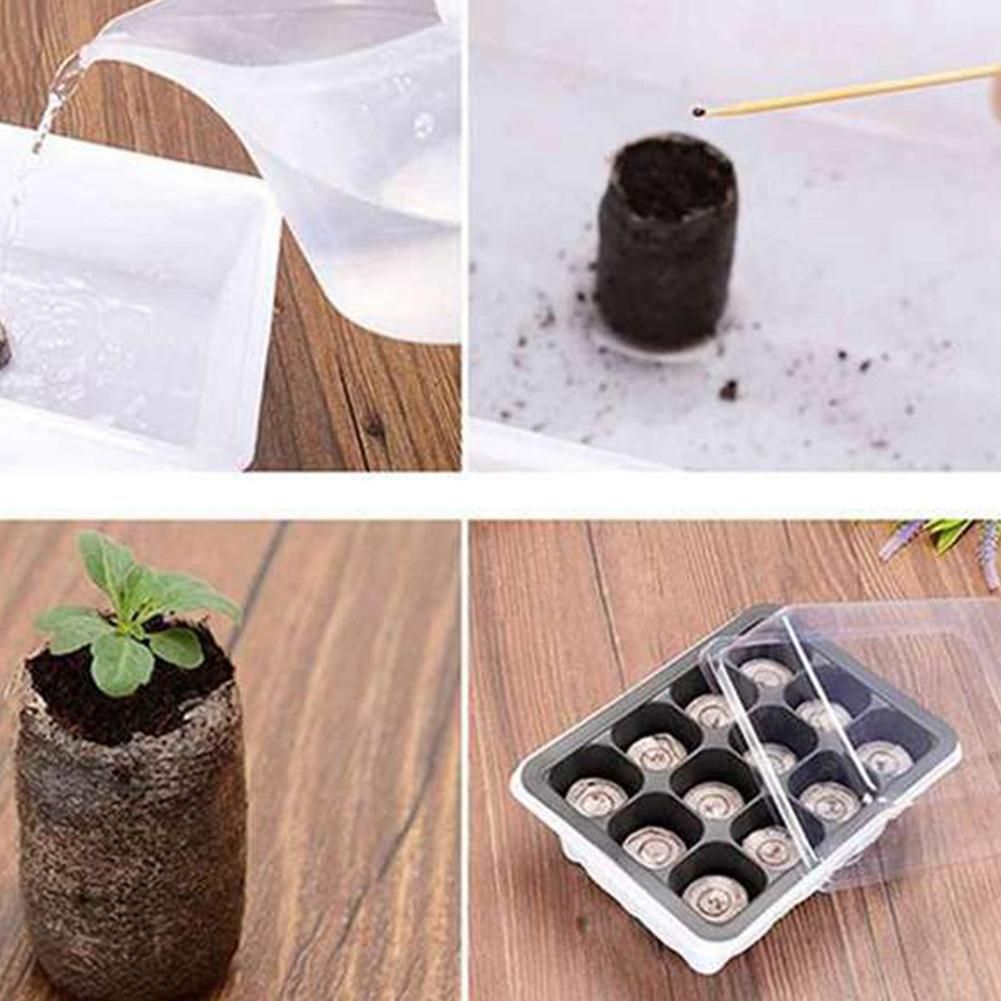 300Pcs 30mm Peat Pellets Seed Starting Plugs Seeds