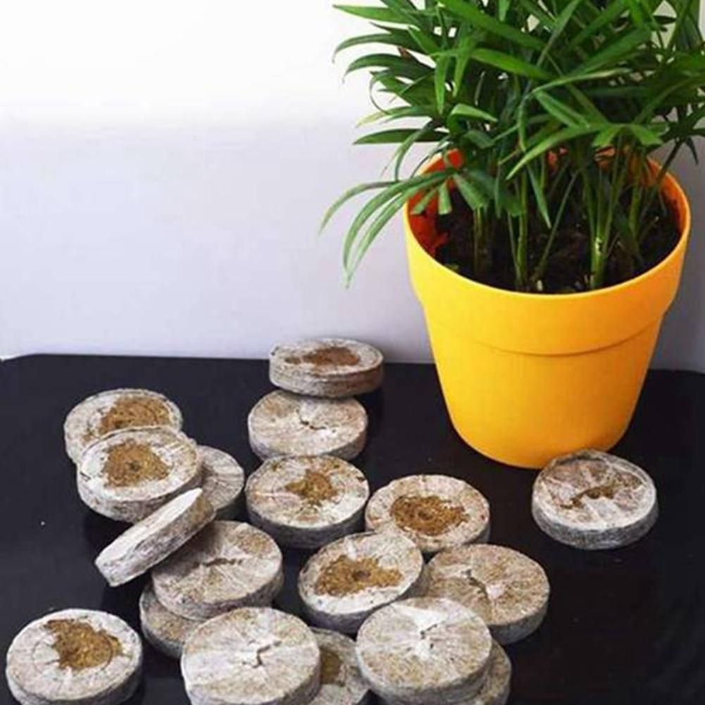 300Pcs 30mm Peat Pellets Seed Starting Plugs Seeds