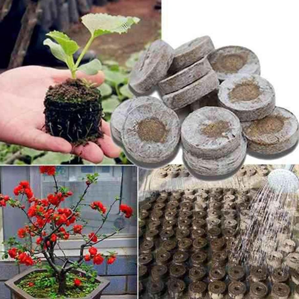 300Pcs 30mm Peat Pellets Seed Starting Plugs Seeds