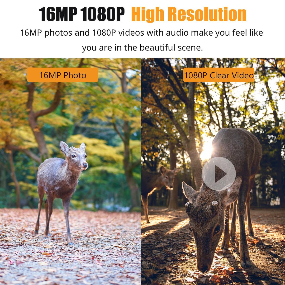 1080P Trail Game Hunting Camera With IR Night Vision, Motion Detection, IP66 Waterproof, 0.6S Trigger Time And 2.4'' TFT Color Display For Outdoor Wildlife, Hunting, Farm Monitoring And Home Security Surveillance
