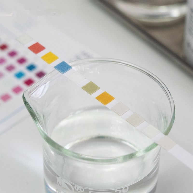 100Strips Water Test Strips Reagent Strip For Water Quality Analyzing Testing With 10 Analysis Residual Chlorine PH Total