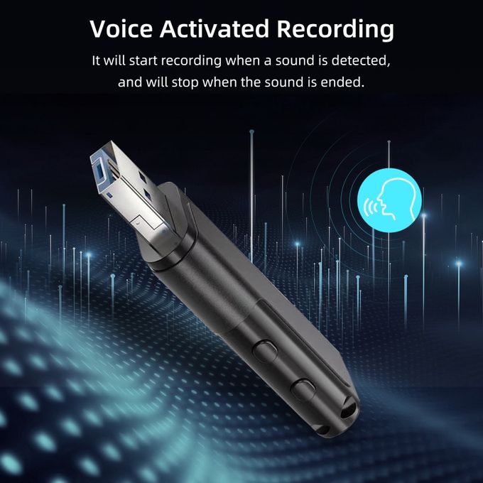 Digital Voice Recorder U-disk Flash Driver Sound Audio