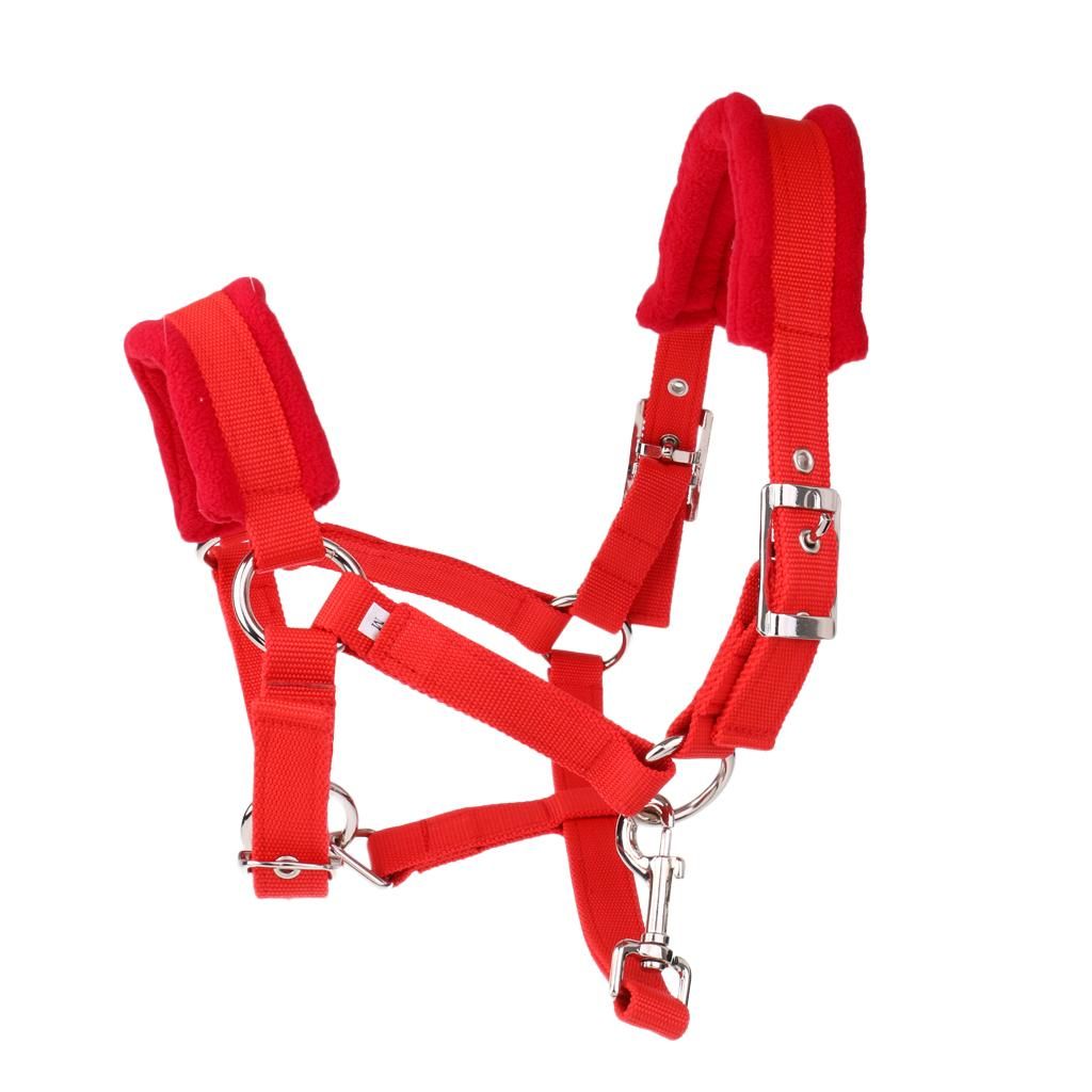Soft Padded Adjustable Horse Headcollar (Large) + 2.5