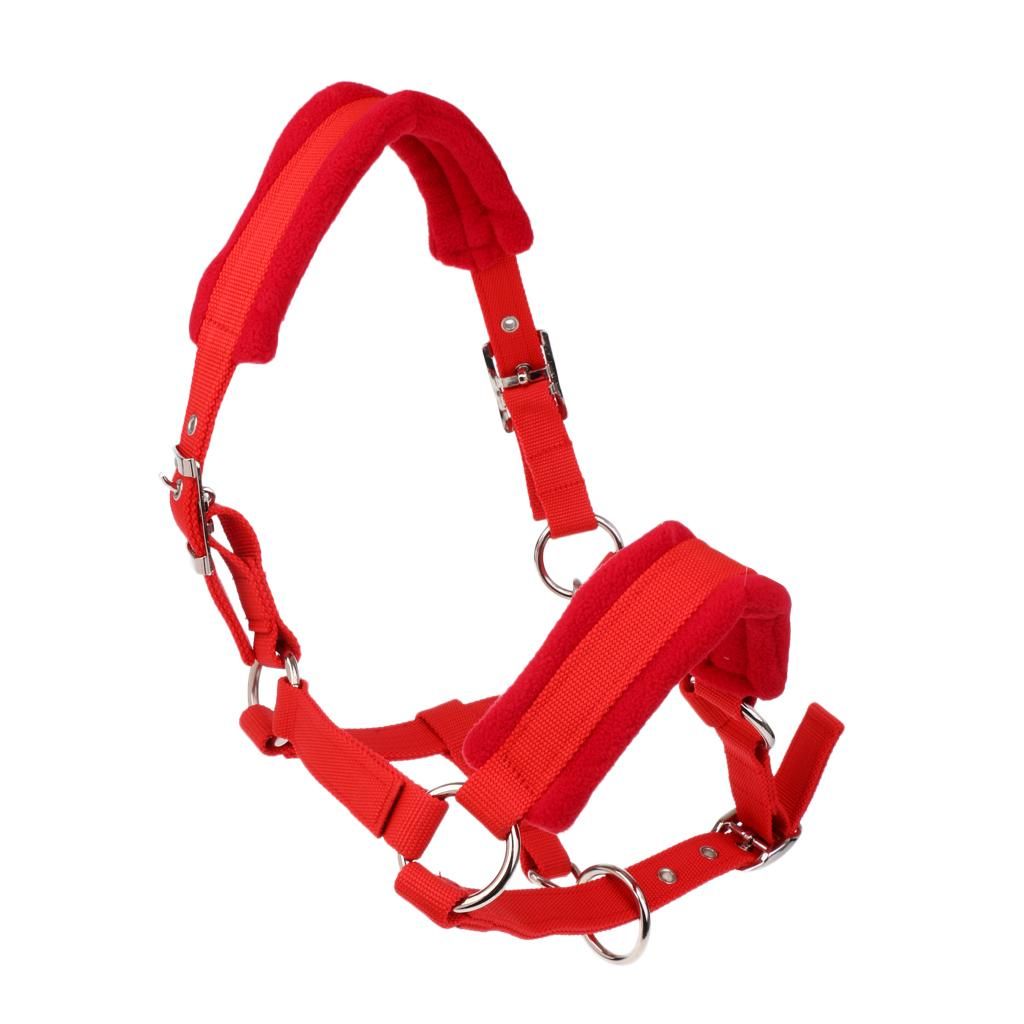 Soft Padded Adjustable Horse Headcollar (Large) + 2.5