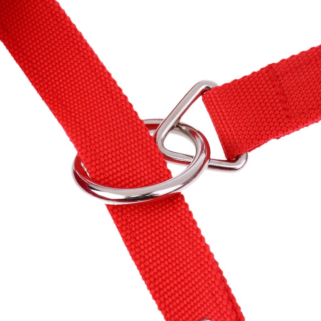 Soft Padded Adjustable Horse Headcollar (Large) + 2.5