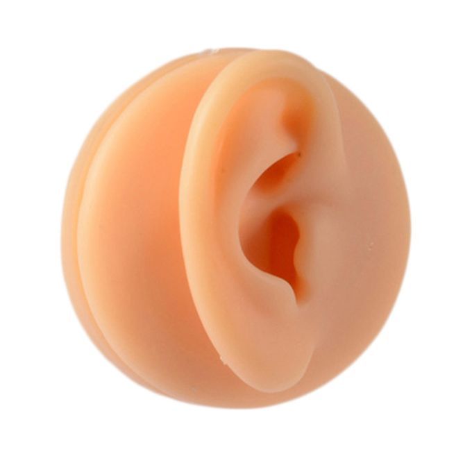Human Body Part Model Silicone Modeling Texture Free Of Bubbles For
