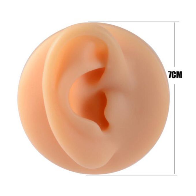 Human Body Part Model Silicone Modeling Texture Free Of Bubbles For