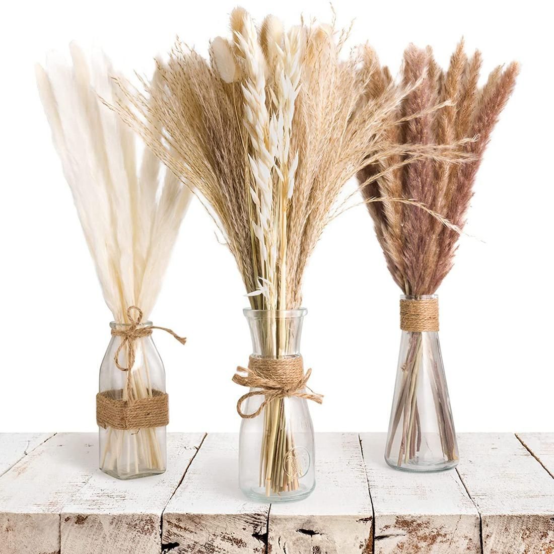 72 Pcs Pampas Grass - Fluffy White/Brown Pampas, Reed Grass