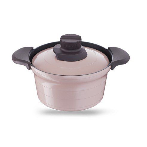 Tefal Treasure IH Induction Stew Pot