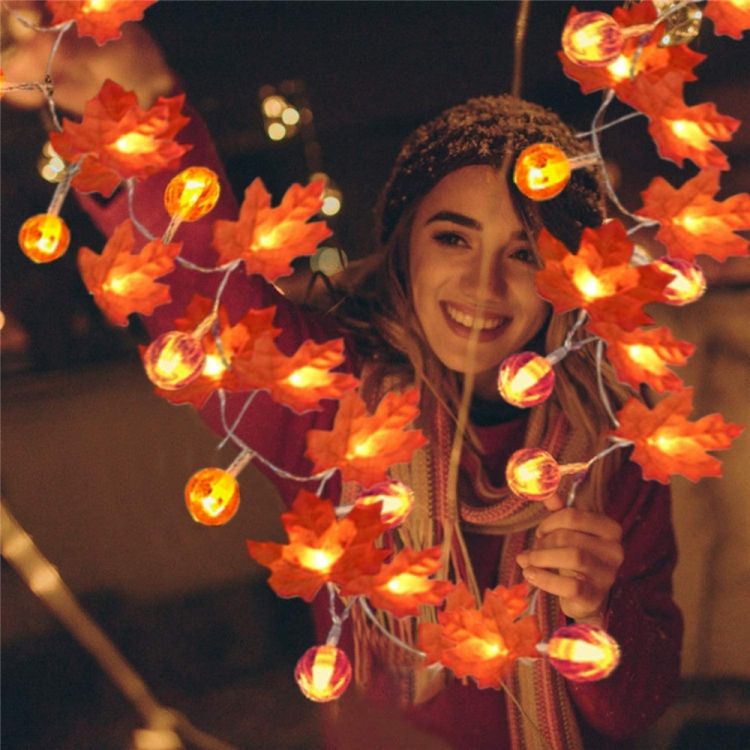 1.5m 10 LEDs Maple Pumpkin String Lights Halloween Decor