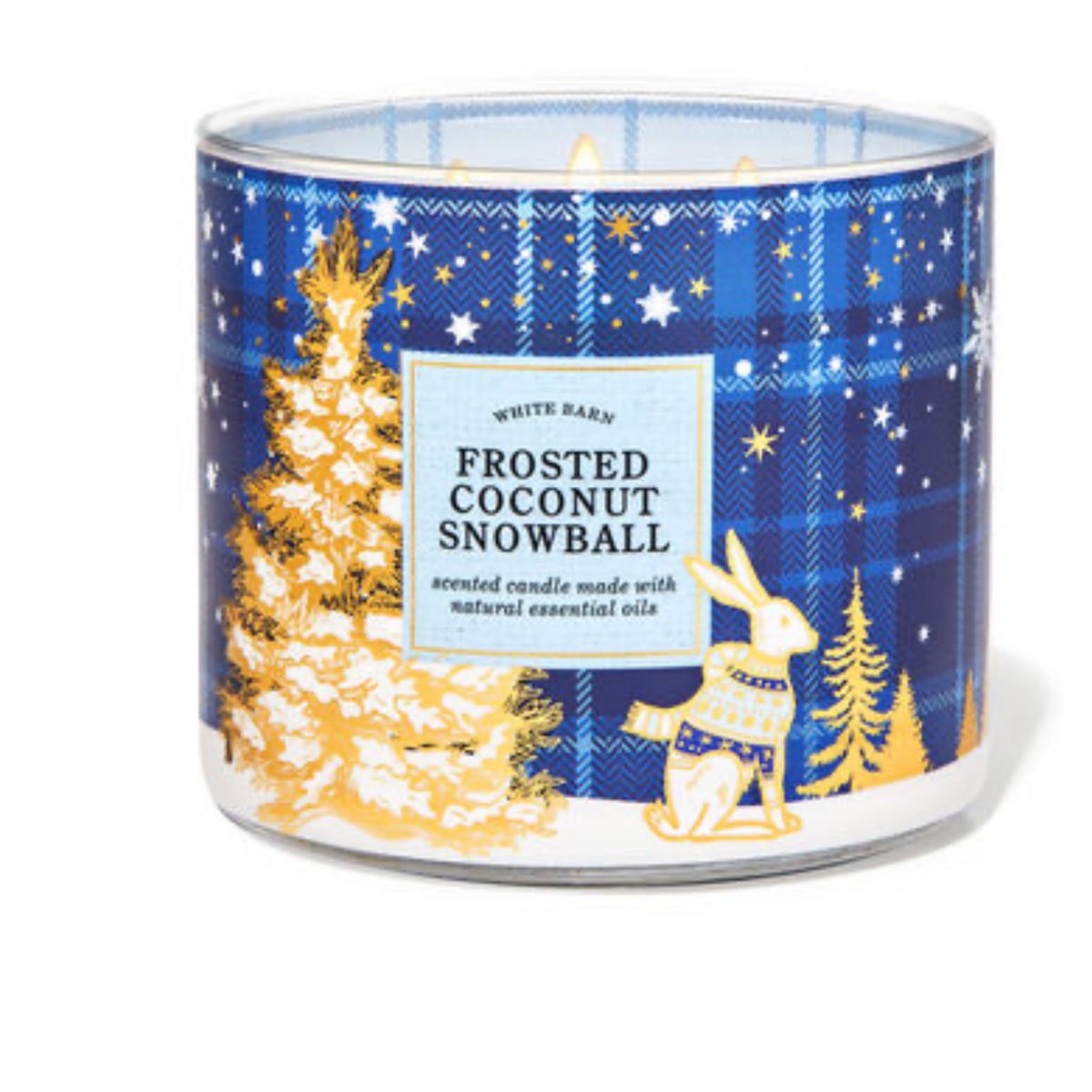 Frosted Coconut Snowball 3 Wick Candle