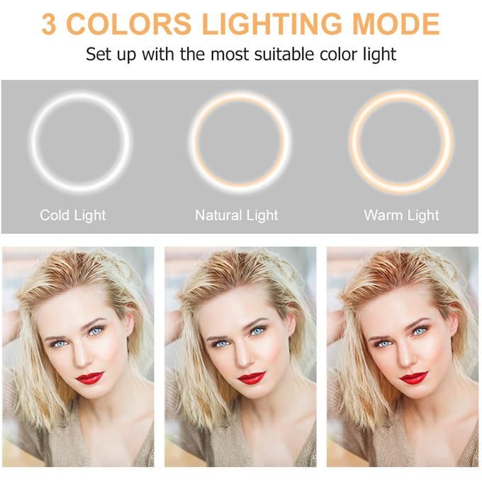 10-inch LED beauty lamp with retractable tripod and phone holder, suitable for live streaming/makeup/YouTube videos