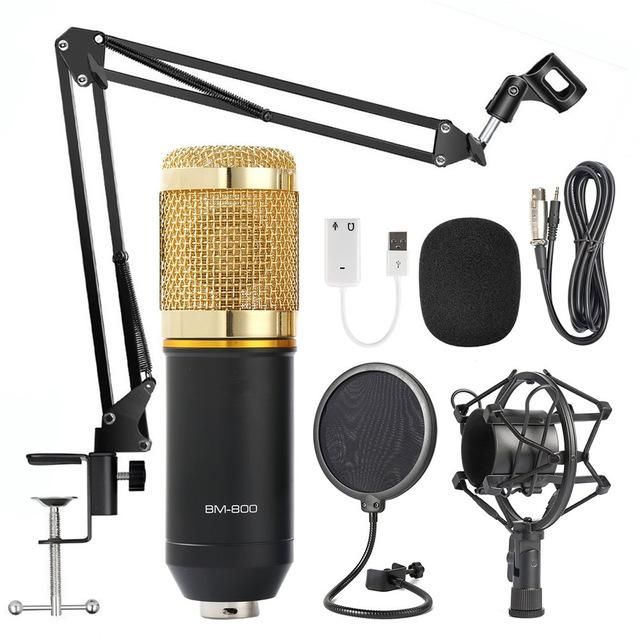 Professional BM-800 Condenser Microphone BM 800 Cardioid Pro Audio Studio Vocal Recording Mic+Standing holder