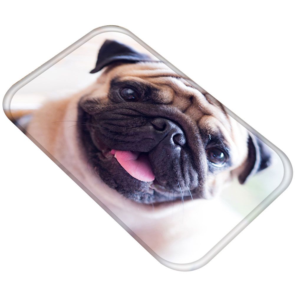40x60cm Bedroom Floor Cushion Cute Cat Dog Glasses