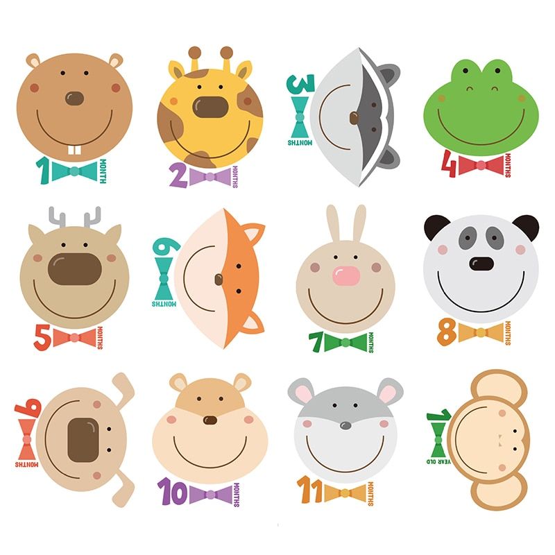 12 Pieces Of Monthly Stickers Baby Photography Milestone