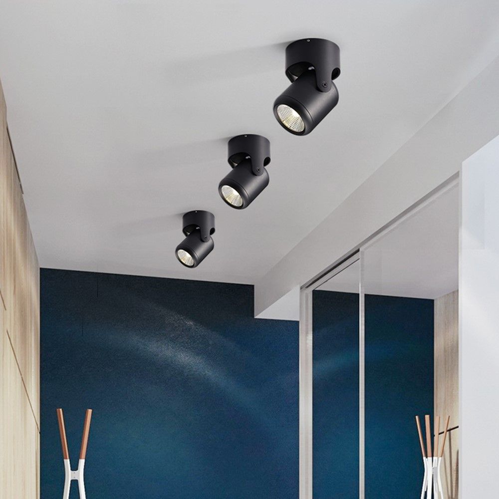 COB LED Downlight Surface Mounted Led Ceiling Lamp Colorful