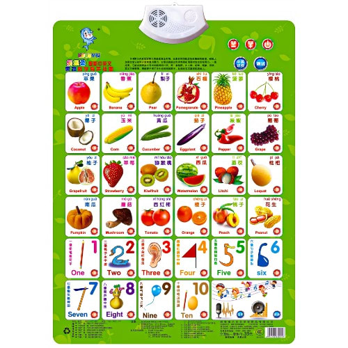 Kids Audio Speaking Educational Wall Chart