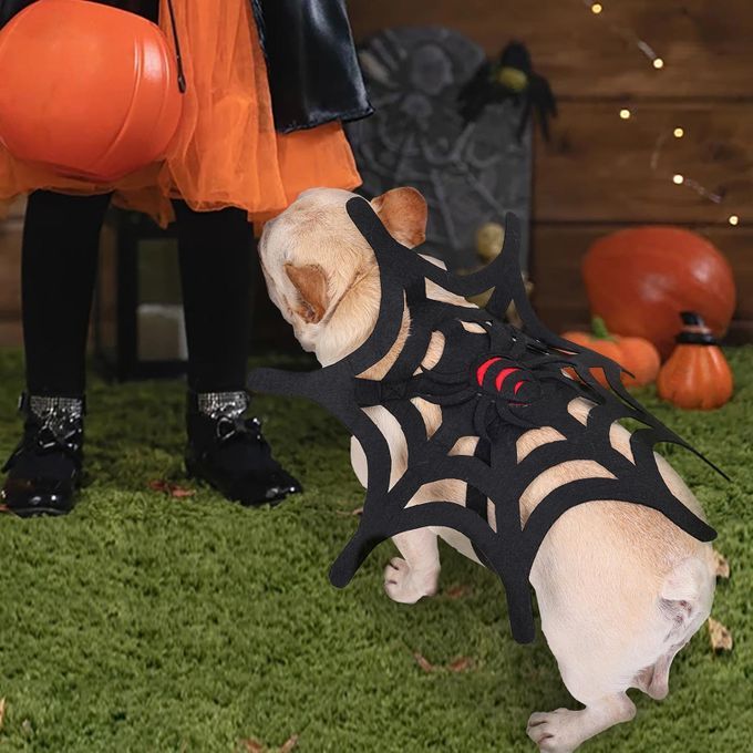 Pet Costume Spider Web Cat Dog Halloween Christmas Dress Up