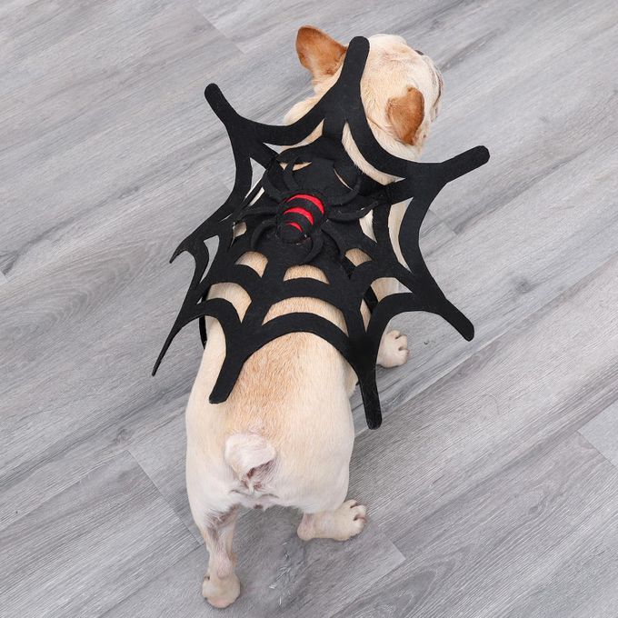 Pet Costume Spider Web Cat Dog Halloween Christmas Dress Up