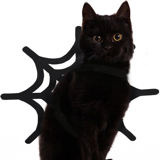 Pet Costume Spider Web Cat Dog Halloween Christmas Dress Up