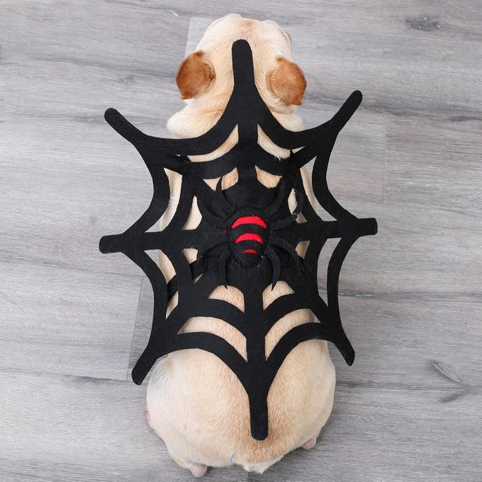 Pet Costume Spider Web Cat Dog Halloween Christmas Dress Up