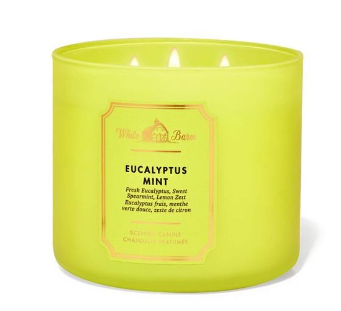 Eucalyptus Mint 3-Wick Scented Candle
